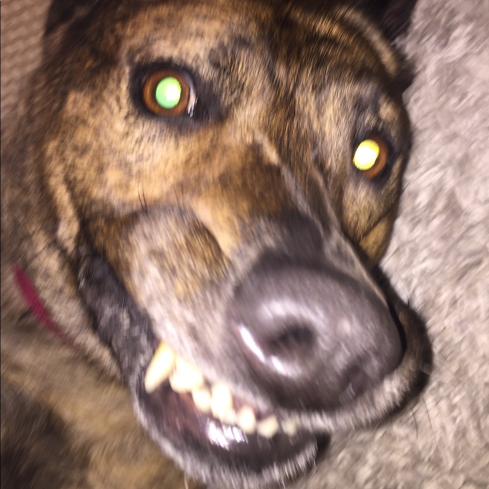 Meet your Posher, Josette